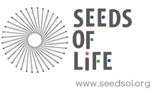 seedsol